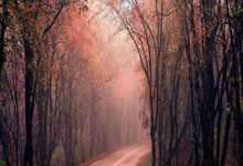 爱游戏:中国金花联袂出战!WTA香港站开赛,被赞“赛事标杆”环球时报.