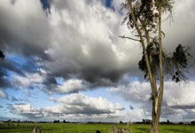 西蒙代表西班牙参加点球大战已扑出7个点球,队史最多.