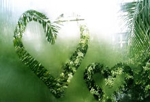 冤家路窄！球员锦标赛：宾汉姆再遇尼尔罗伯逊.